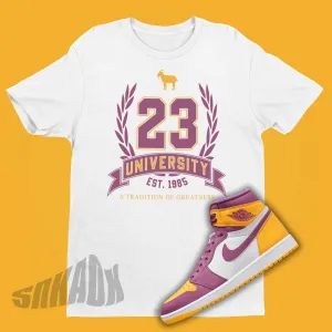 23 University Shirt to Match Air Jordan 1 Brotherhood