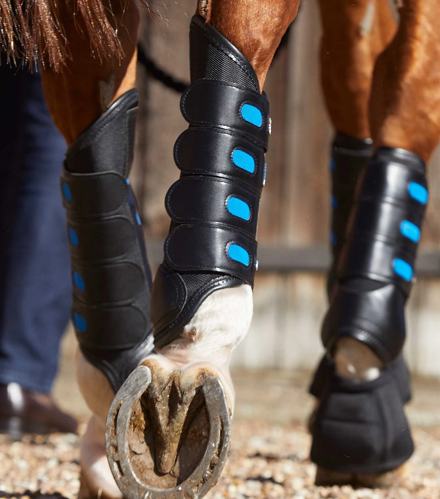 Air Cooled Original Eventing Boots Black Hind