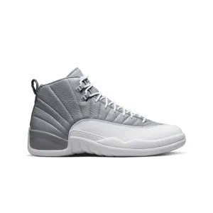 Air Jordan 12 Retro 'Stealth' CT8013-015