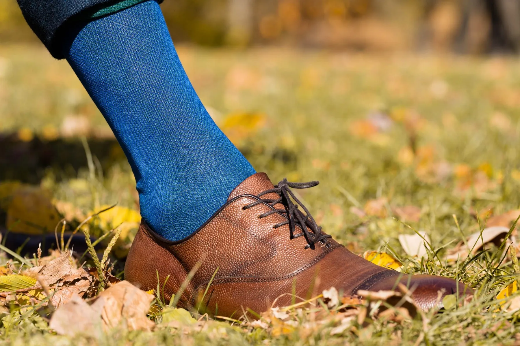 Blue & Malachite Green Two-Tone Cotton Socks