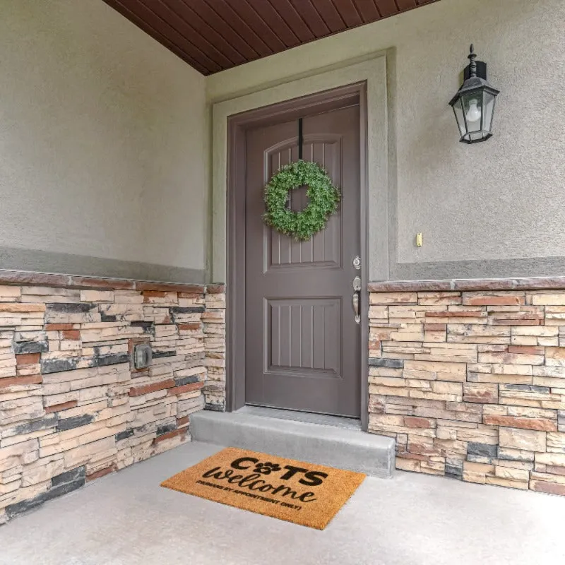 Cat Doormat Welcome Entryway